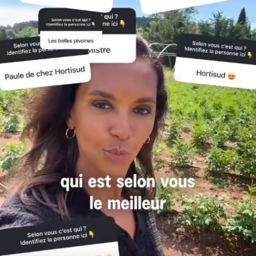 karine-lemarchand-hortisud-fleurs-var-sicamaf